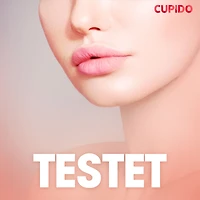 Testet - erotiska noveller