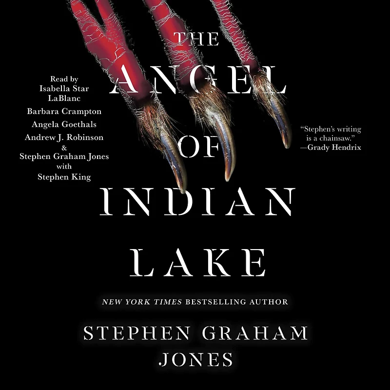 The Angel of Indian Lake (Indian Trilogy #3)