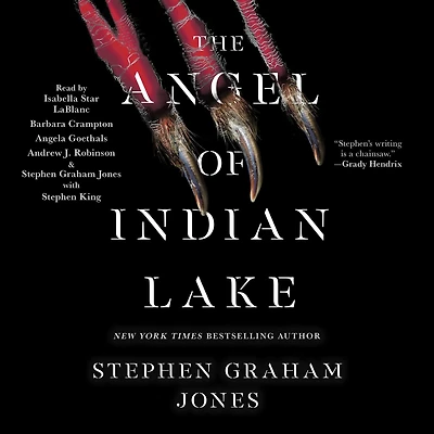 The Angel of Indian Lake (Indian Trilogy #3)
