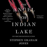 The Angel of Indian Lake (Indian Trilogy #3)