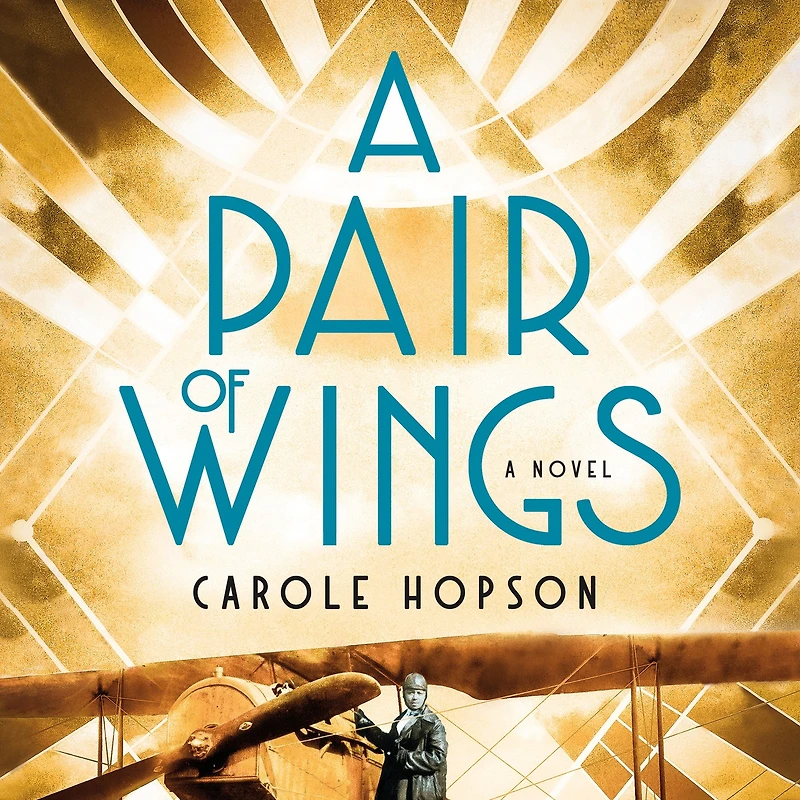 A Pair of Wings: Novel