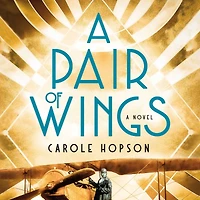 A Pair of Wings: Novel