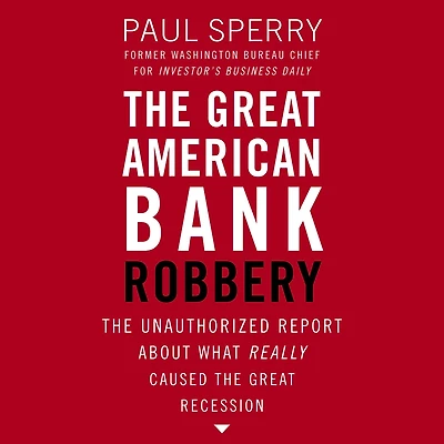 the Great American Bank Robbery: Unauthorized Report About What Really Caused Recession