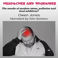Headaches And Migraines: The Results Of Modern Stress, Pollution Food Additives?