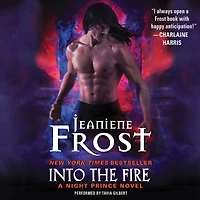 Into the Fire: A Night Prince Novel