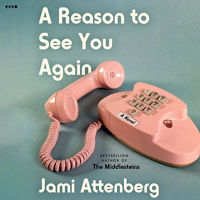 A Reason to See You Again: Novel