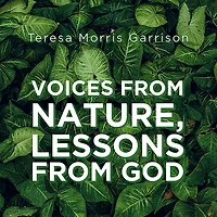 Voices From Nature, Lessons From God