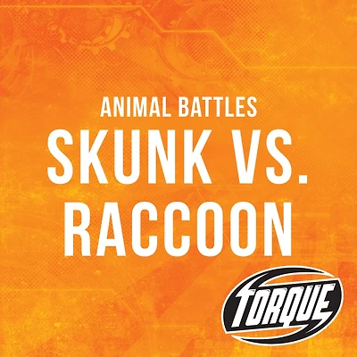 Skunk vs. Raccoon