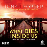 What Dies Inside Us: The DI Jimmy Bliss Crime Series Book 11