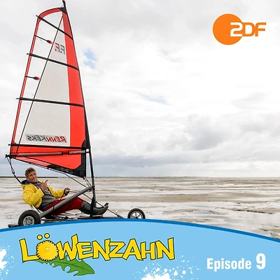 Episode 09: Sos im Wattenmeer: Das Original Hörspiel zur TV-Serie