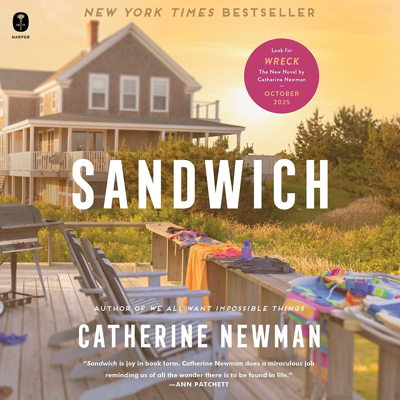Sandwich: A Novel