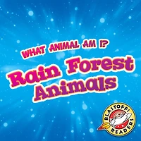 Rain Forest Animals
