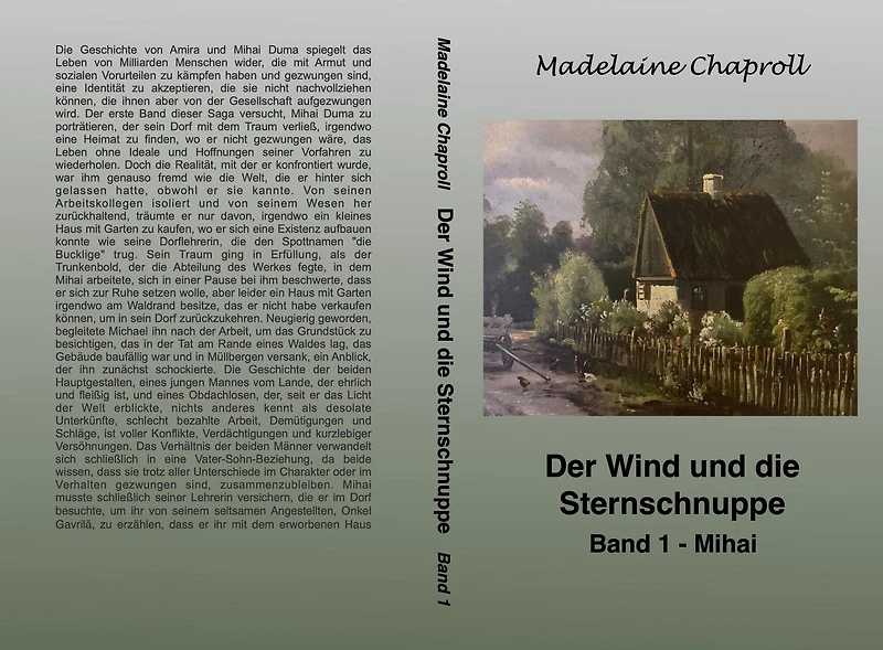 Der Wind und die Sternschnuppe