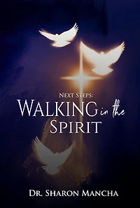 Next Steps: Walking the Spirit