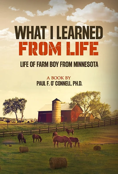 What I learned from Life