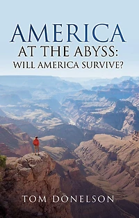 America At The Abyss: Will Survive?