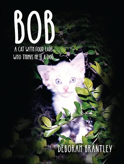 Bob: a Cat with Four Ears Who Thinks He Is Dog