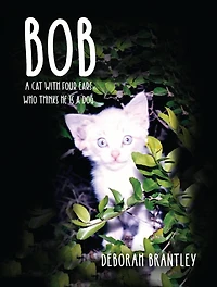 Bob: a Cat with Four Ears Who Thinks He Is Dog