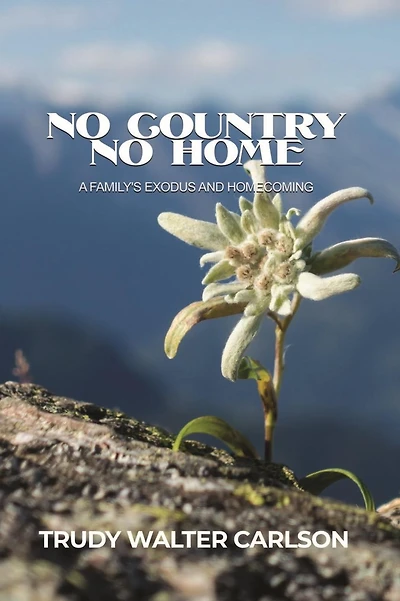 No Country Home: A Family's Exodus and Homecoming