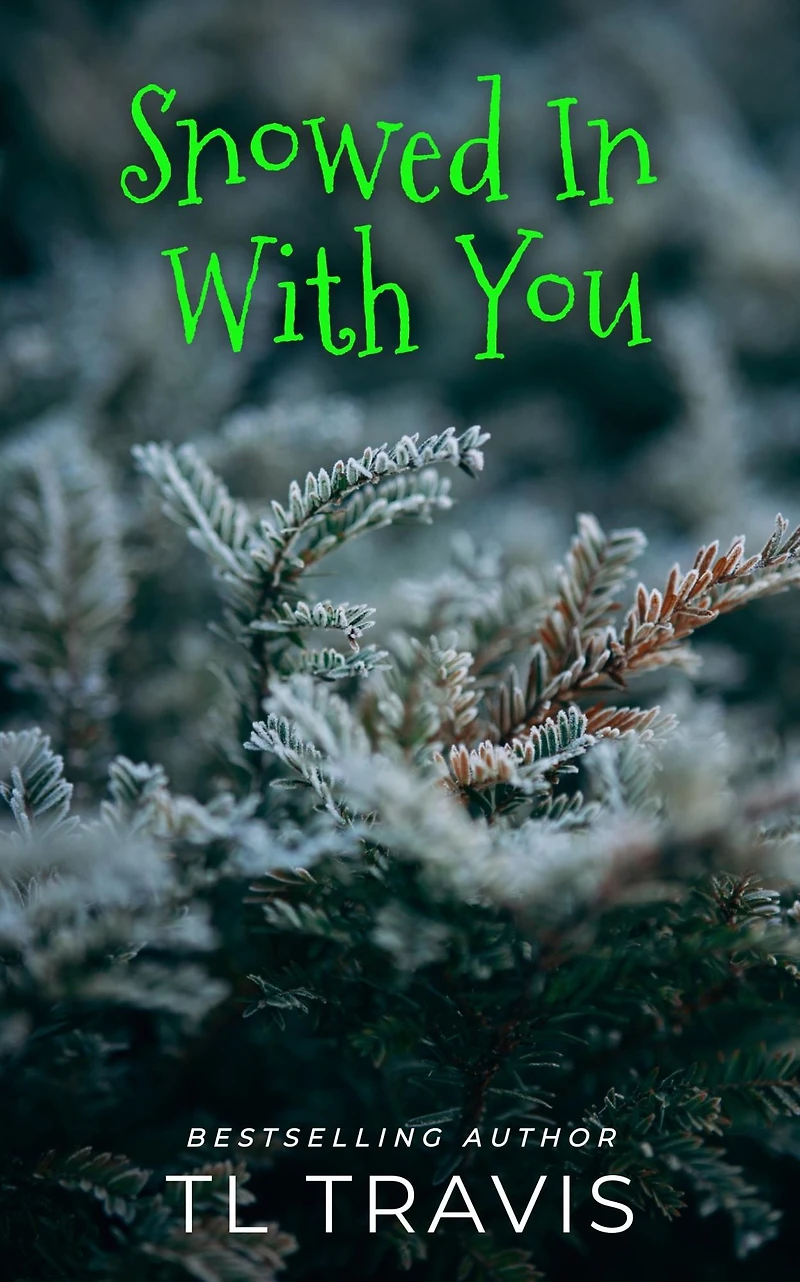 Snowed With You