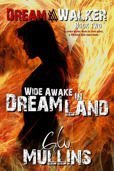 Wide Awake Dream Land