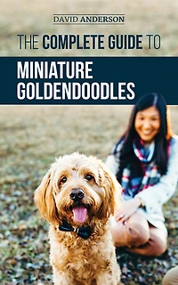 The Complete Guide to Miniature Goldendoodles