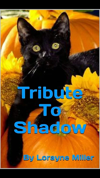Tribute To Shadow