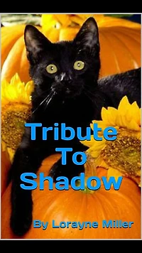 Tribute To Shadow