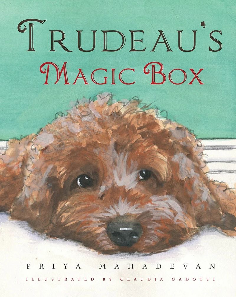 Trudeaus Magic Box