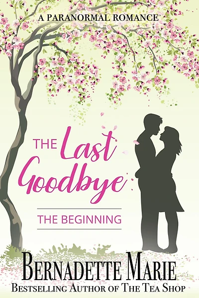The Last Goodbye - Beginning