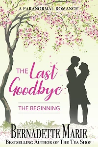 The Last Goodbye - Beginning