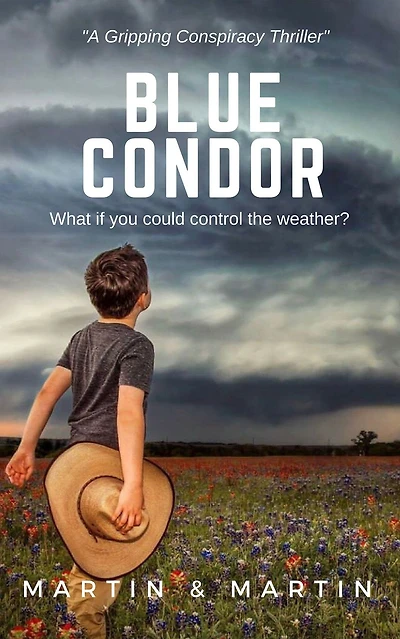 Blue Condor