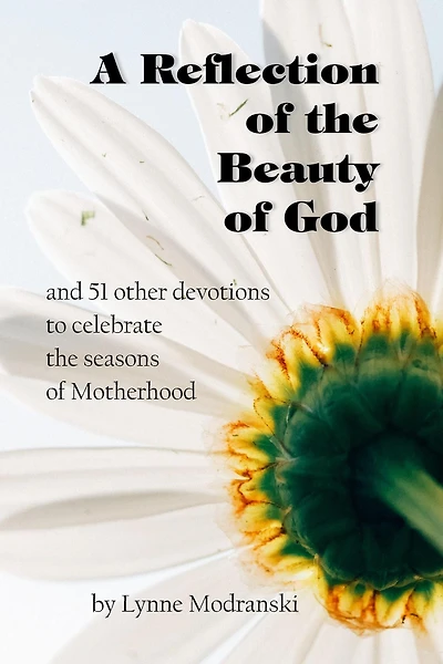 A Reflection of the Beauty of God