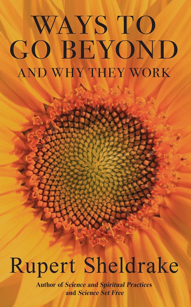 Ways to Go Beyond And Why They Work: Seven Spiritual Practices a Scientific Age
