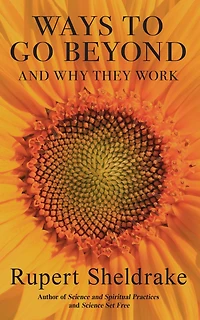 Ways to Go Beyond And Why They Work: Seven Spiritual Practices a Scientific Age