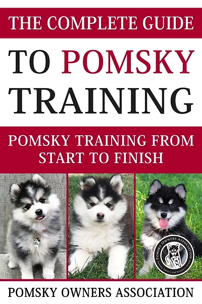 The Complete Guide To Pomsky Training
