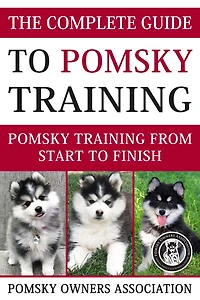 The Complete Guide To Pomsky Training