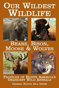 Our Wildest Wildlife: Bears, Bison, Moose & Wolves