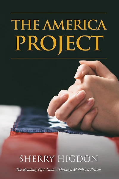 THE AMERICA PROJECT