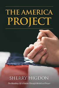 THE AMERICA PROJECT