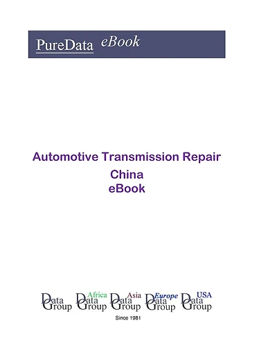 Automotive Transmission Repair in China