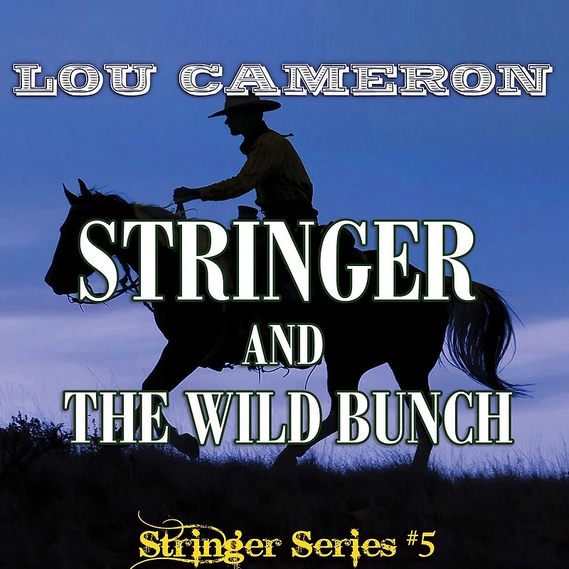 Stringer and the Wild Bunch