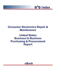 Consumer Electronics Repair & Maintenance B2B United States