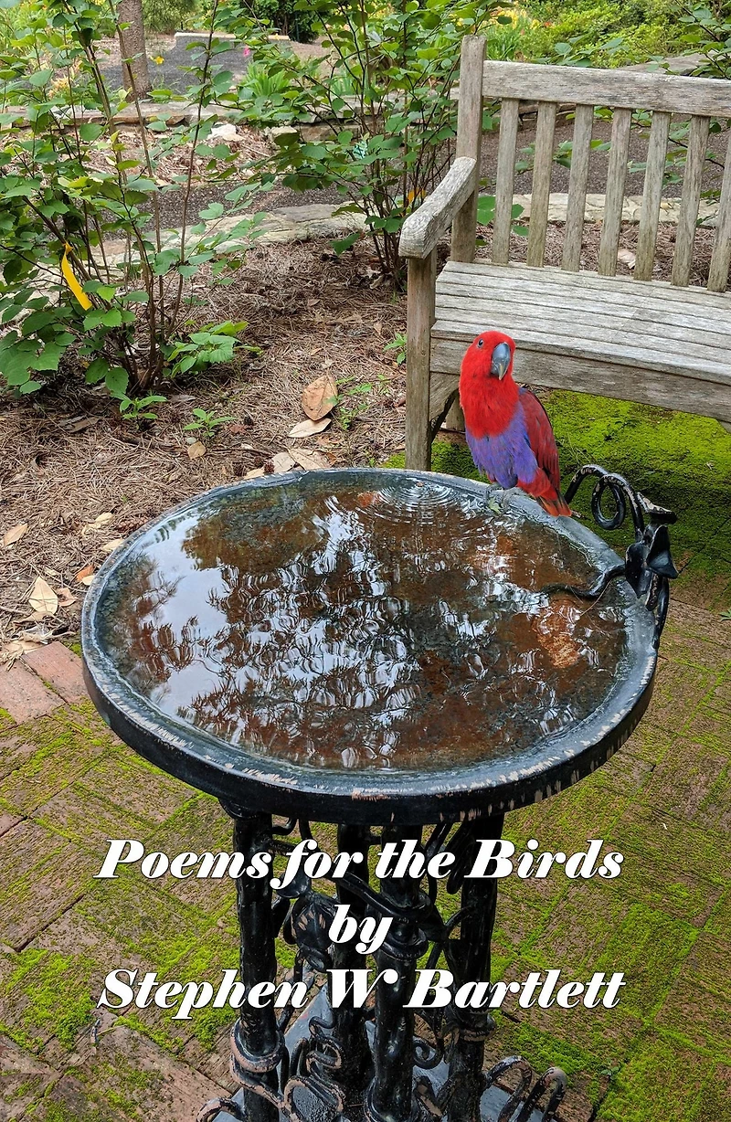 Poems for the Birds