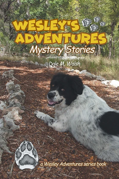 Wesley's Adventures: Mystery Stories