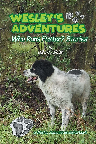 Wesley's Adventures: "Who Runs Faster?" Stories