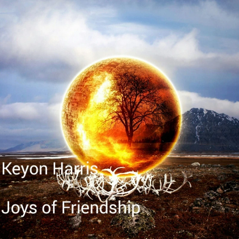 Joys of Friendship