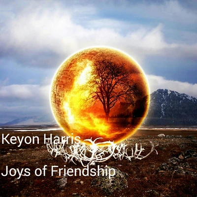 Joys of Friendship