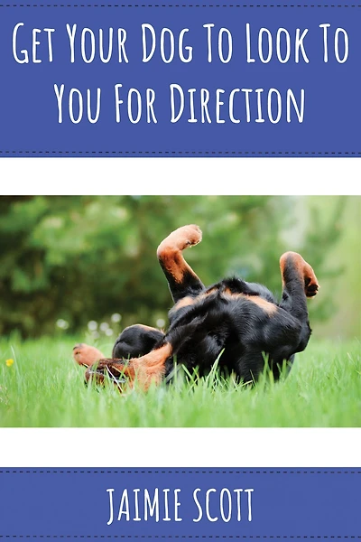 Get Your Dog to Look to You for Direction!