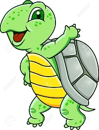 The Sleepy Turtle